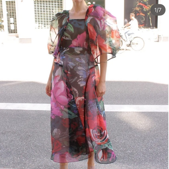 Mr. Larkin Dresses & Skirts - Mr. Larkin Lexi Organza Sheer Floral Maxi Dress NWT M